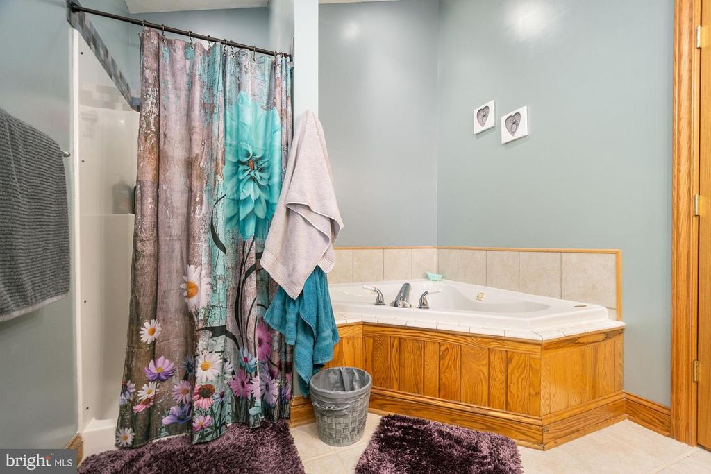 Image 48 of property listing at 1875 PYSELL CROSSCUT RD, Oakland, MD 21550