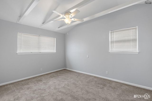 1543 SWEETBRIAR DRIVE, Wichita Falls, TX 76302