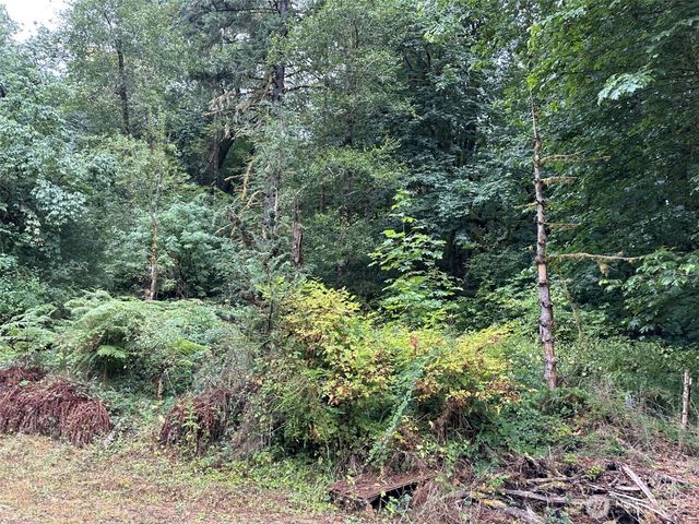 6405 Westside Highway, Castle Rock, WA 98611