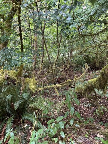 6405 Westside Highway, Castle Rock, WA 98611