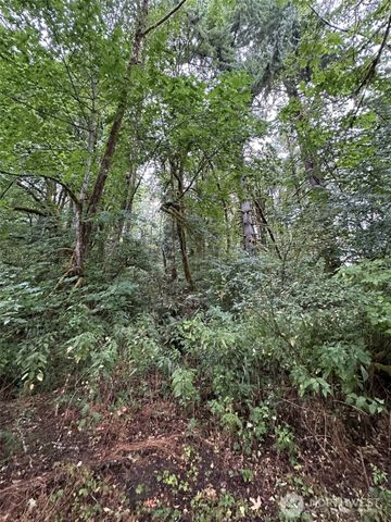 6405 Westside Highway, Castle Rock, WA 98611