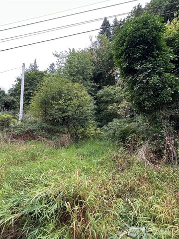 6405 Westside Highway, Castle Rock, WA 98611