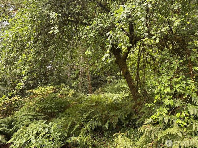 6405 Westside Highway, Castle Rock, WA 98611