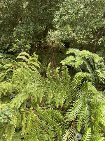 6405 Westside Highway, Castle Rock, WA 98611