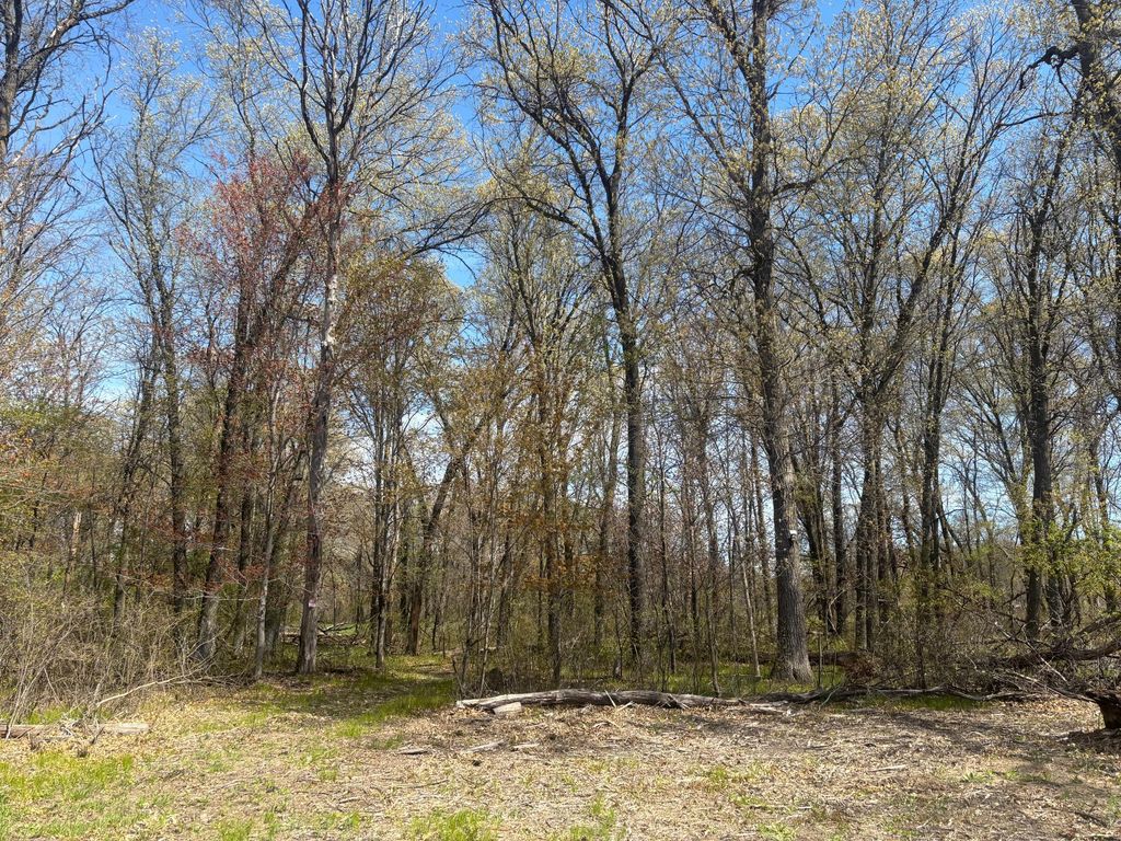 TBD 151st Street NW, Princeton, MN 55371 — photo 2