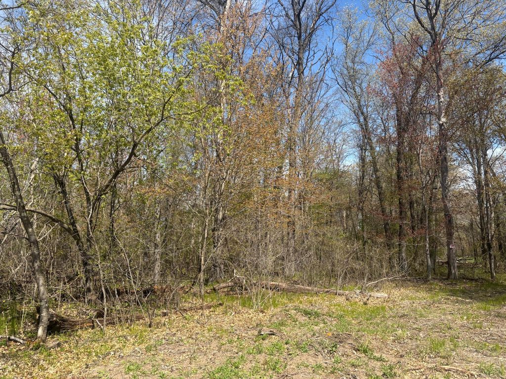 TBD 151st Street NW, Princeton, MN 55371 — photo 3