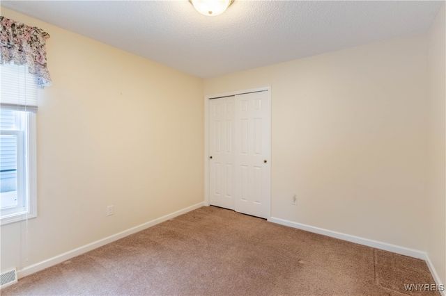 53 Blossom Wood Lane, Cheektowaga, NY 14227