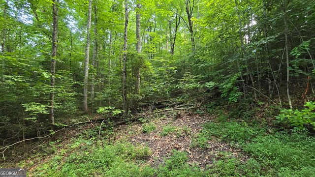 LOT 14 Kilpatrick Point Terrace, Hayesville, NC 28904
