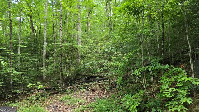 LOT 14 Kilpatrick Point Terrace, Hayesville, NC 28904