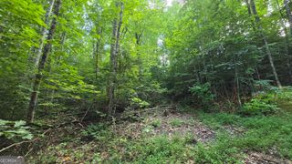 LOT 14 Kilpatrick Point Terrace, Hayesville, NC 28904