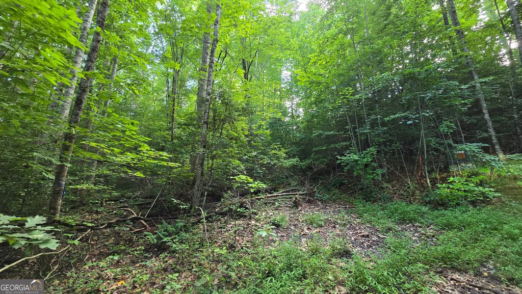 LOT 14 Kilpatrick Point Terrace, Hayesville, NC 28904