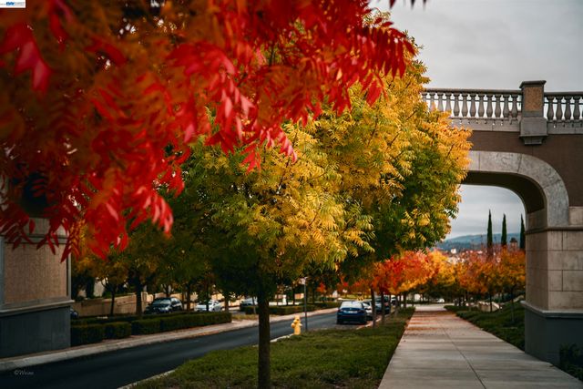 3398 Araldi Ln, Dublin, CA 94568