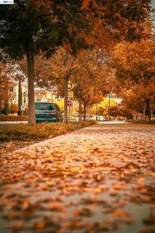 3398 Araldi Ln, Dublin, CA 94568