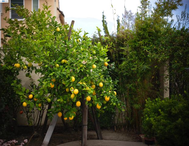 3398 Araldi Ln, Dublin, CA 94568