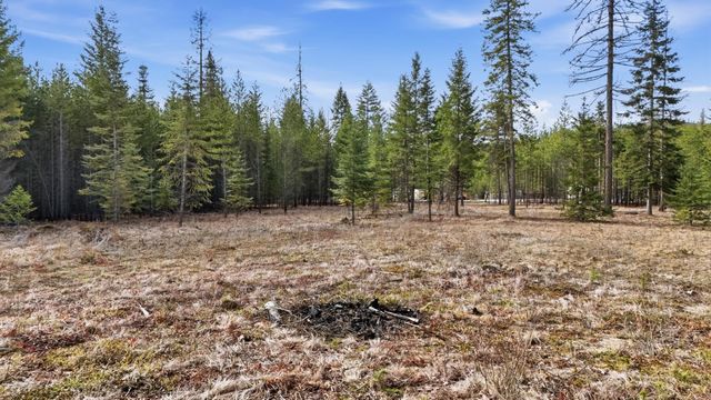 102 Fox Ln, Newport, WA 99156