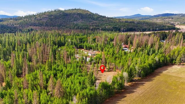 102 Fox Ln, Newport, WA 99156