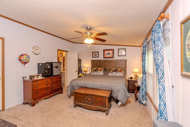 6683 Plainview Rd, Christiana, TN 37037