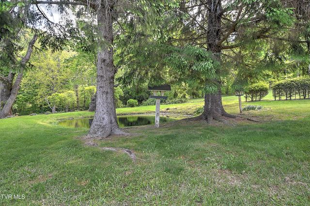 602 Heaton Creek Road, Roan Mountain, TN 37687
