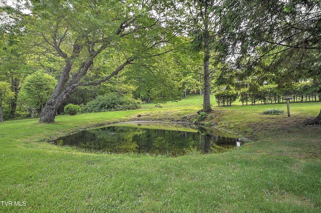 602 Heaton Creek Road, Roan Mountain, TN 37687