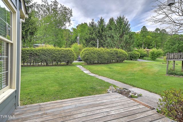 602 Heaton Creek Road, Roan Mountain, TN 37687