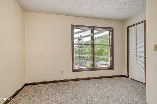 602 Heaton Creek Road, Roan Mountain, TN 37687