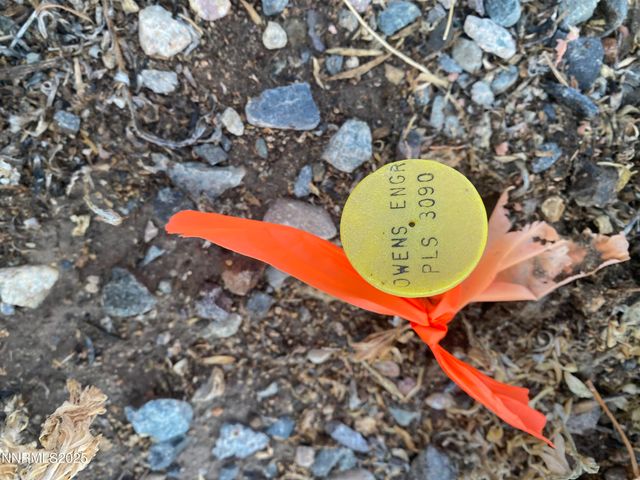 78 Old Ranch Road, Smith Valley, NV 89430