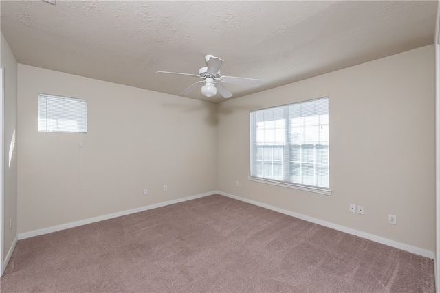 4100 McLister Drive, College Station, TX 77845