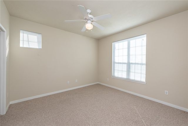 4100 McLister Drive, College Station, TX 77845