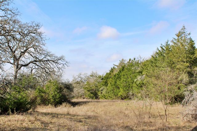 Parcel 5 Lobo Lane, Columbus, TX 78934