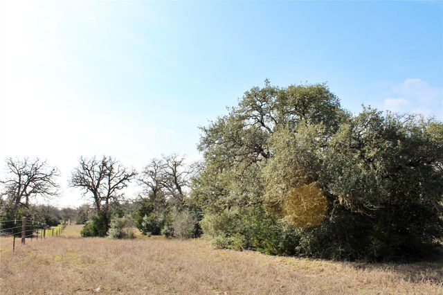 Parcel 5 Lobo Lane, Columbus, TX 78934