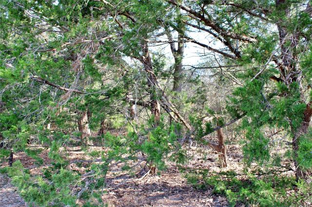 Parcel 5 Lobo Lane, Columbus, TX 78934