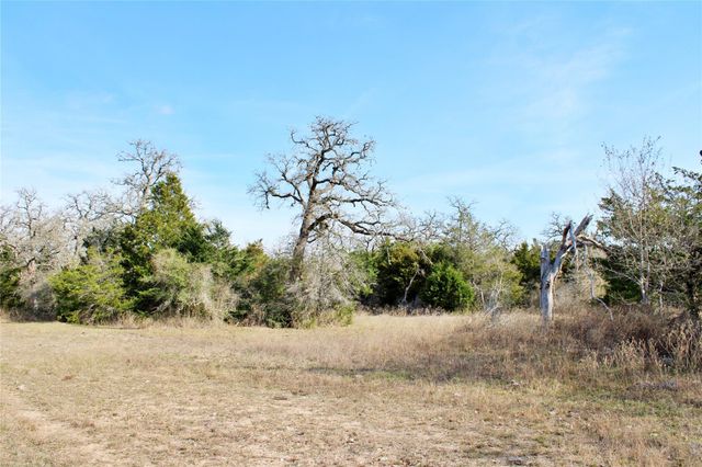 Parcel 5 Lobo Lane, Columbus, TX 78934