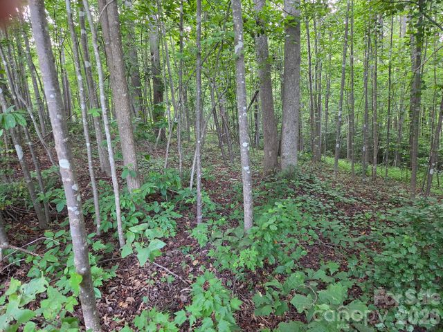 TBD W Meadow Parkway, Moravian Falls, NC 28654