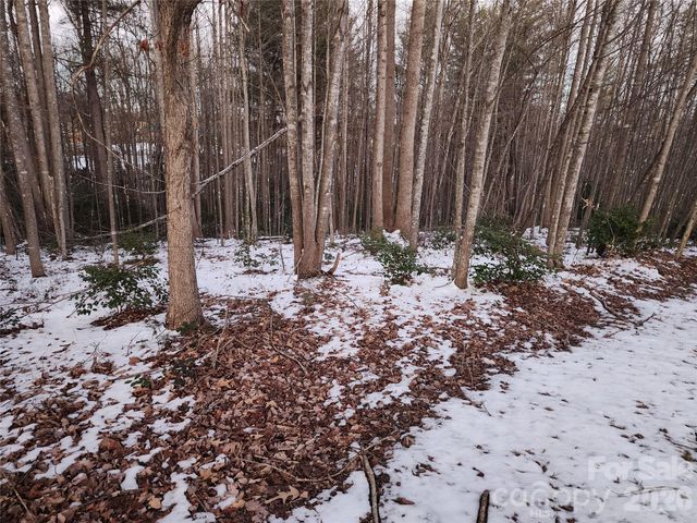 TBD W Meadow Parkway, Moravian Falls, NC 28654