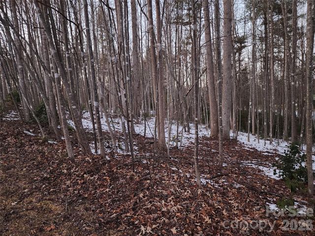 TBD W Meadow Parkway, Moravian Falls, NC 28654