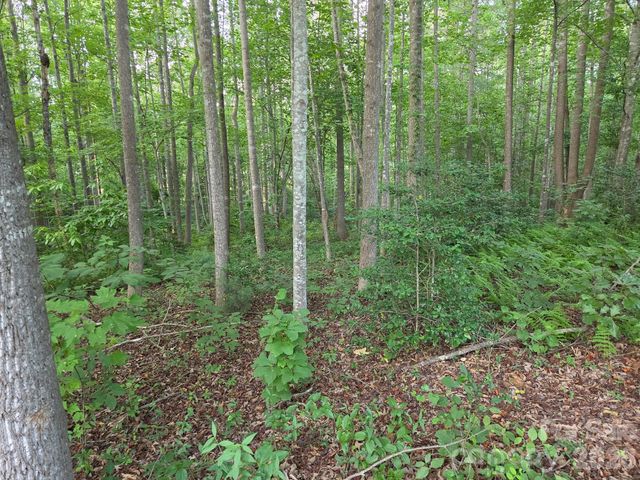 TBD W Meadow Parkway, Moravian Falls, NC 28654