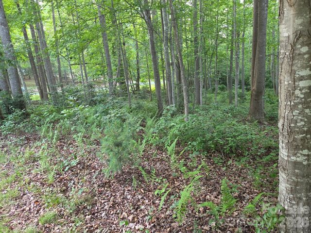 TBD W Meadow Parkway, Moravian Falls, NC 28654