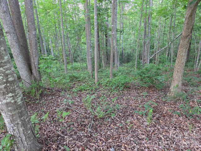 TBD W Meadow Parkway, Moravian Falls, NC 28654
