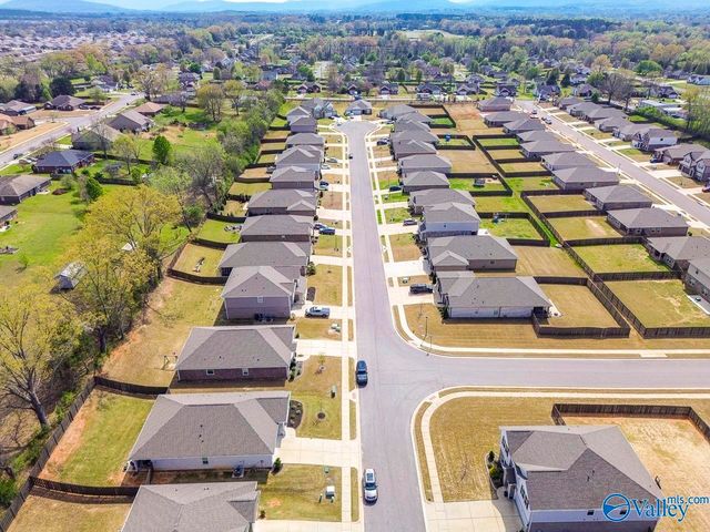 125 River Springs Court, New Market, AL 35761