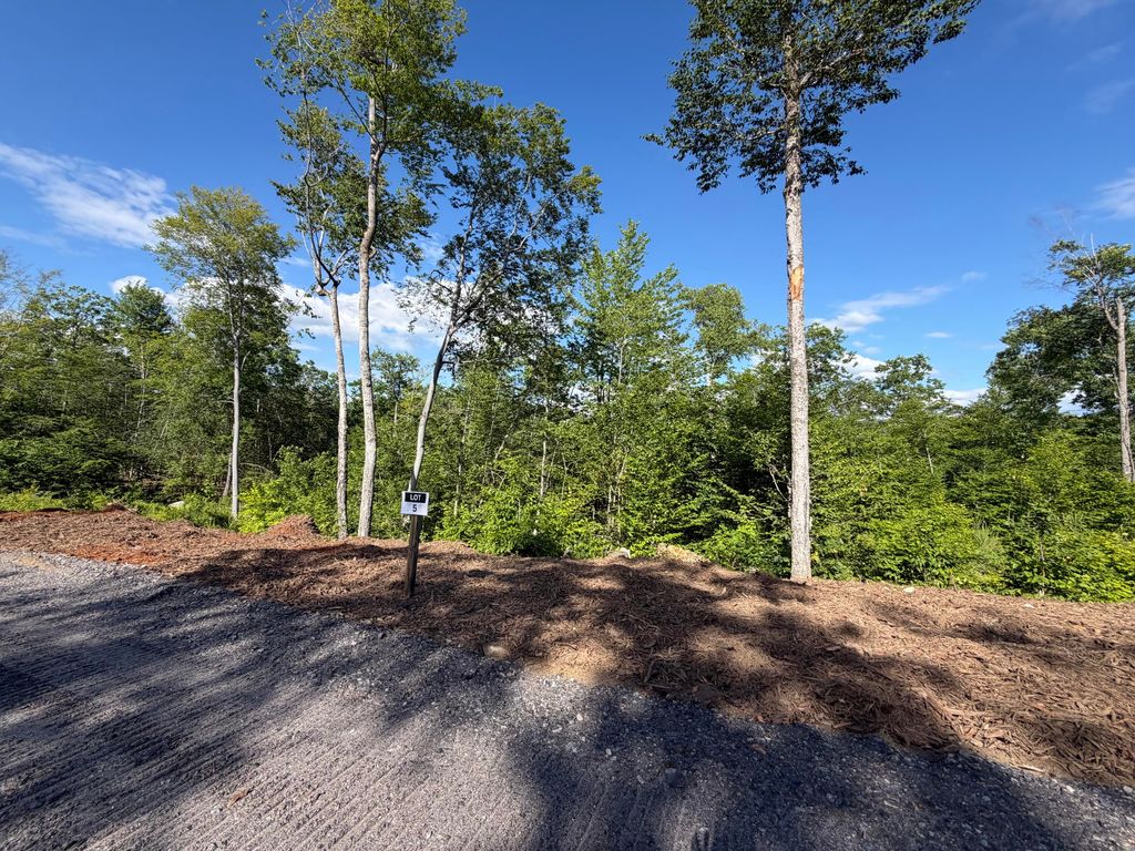 Lot 5 Casco Heights, Casco, ME 04015 — photo 2