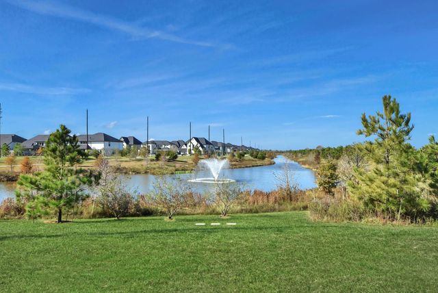 5403 Holly Haven Court, Fulshear, TX 77441