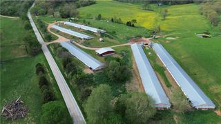 8111 Highway 103, Green Forest, AR 72638