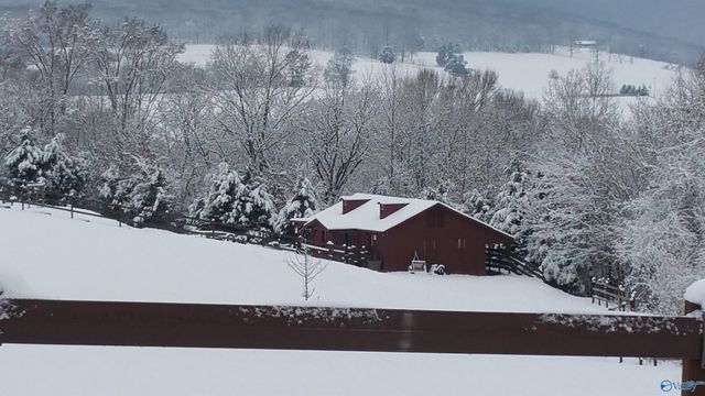 227 Keiffer Circle, New Market, AL 35761