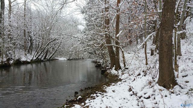 227 Keiffer Circle, New Market, AL 35761