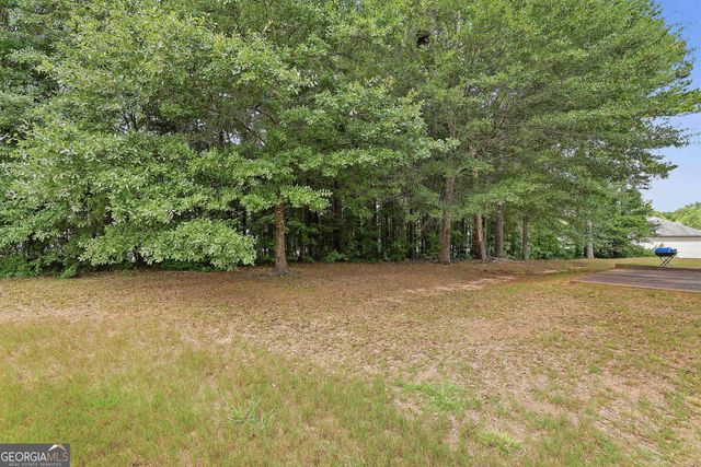 310 Megan Drive, Hampton, GA 30228