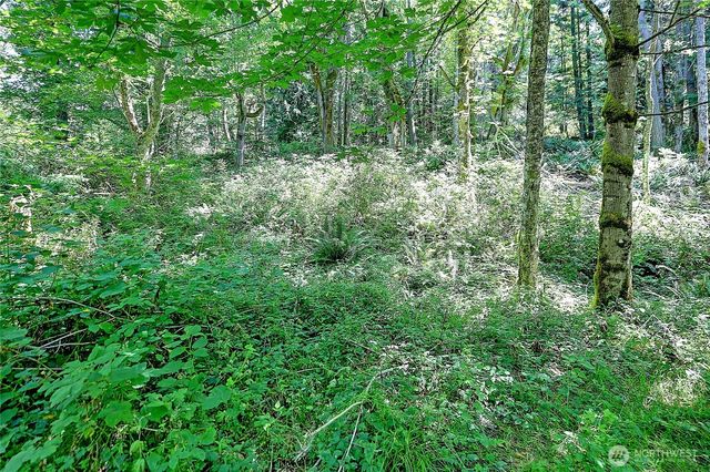 0 Eagle Ridge Drive, Camano Island, WA 98282