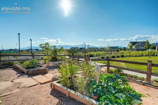 5989 Bennach Grove, Colorado Springs, CO 80927