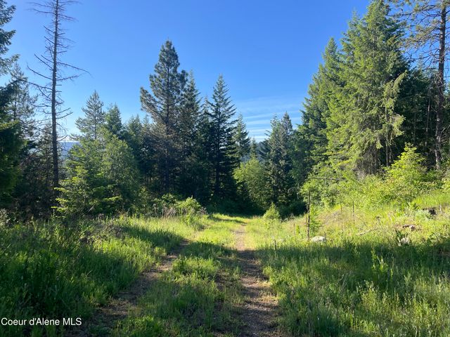 330 Living Waters WAY, Priest River, ID 83856