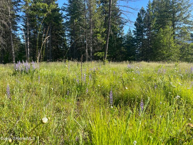 330 Living Waters WAY, Priest River, ID 83856