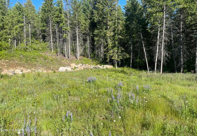 330 Living Waters WAY, Priest River, ID 83856